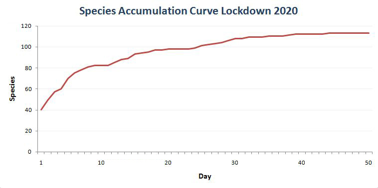 Cumulative Species Total during Lockdown 2020