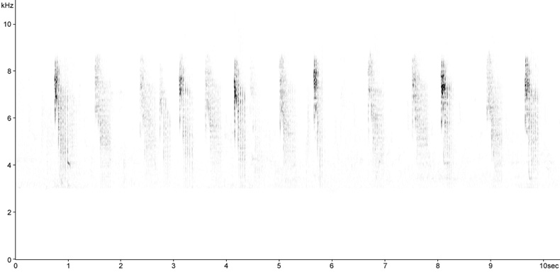 Sonogram of Long-tailed Tit calls