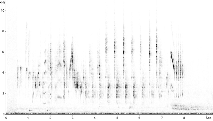 Sonogram of Marsh Warbler song