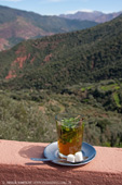 Mint tea in the hills