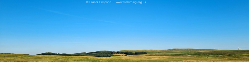 Moorland, Renfrewshire-Ayrshire border © Fraser Simpson