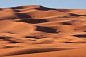 Saharan Dunes