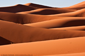 Sahara Dunes at sunrise