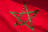Moroccan flag detail