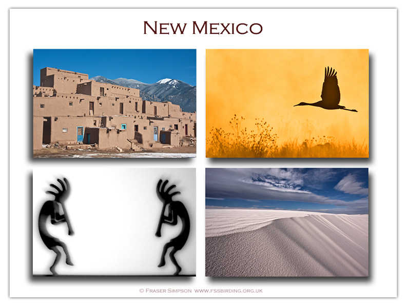 New Mexico photographs © Fraser Simpson