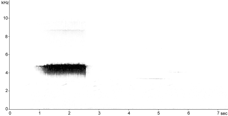Sonogram of Pine Warbler song