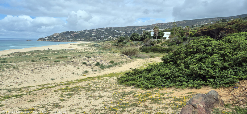 Playa de Cabo de Plata, Atlanterra, Andaluc�a, Spain � Fraser Simpson