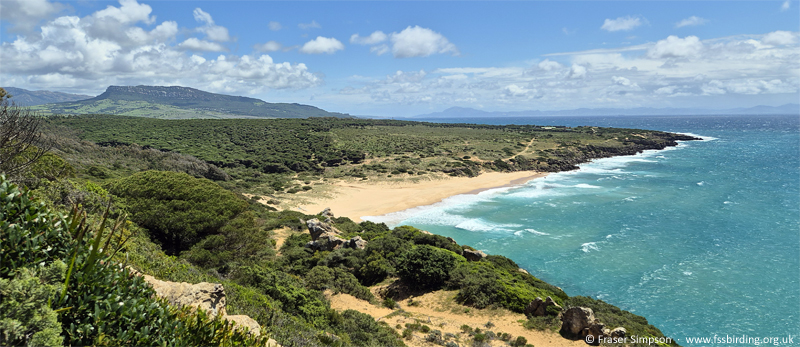 Playa de El Ca�uelo, Andaluc�a, Spain � Fraser Simpson