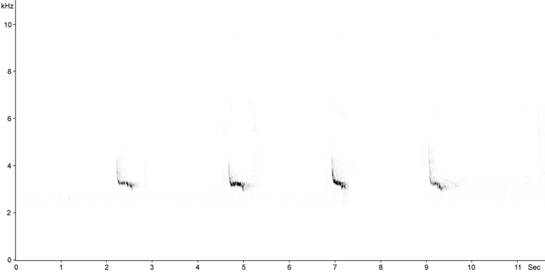 Sonogram of Red-breasted Flycatcher calls