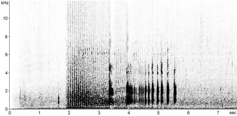 Sonogram of Red Grouse call