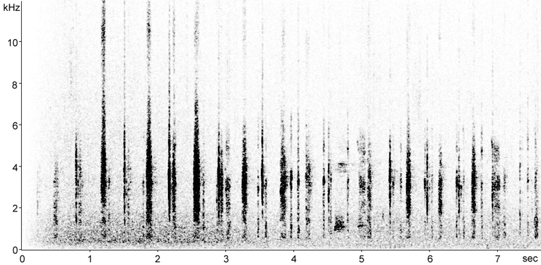 Sonogram of Red-legged Partridge calls
