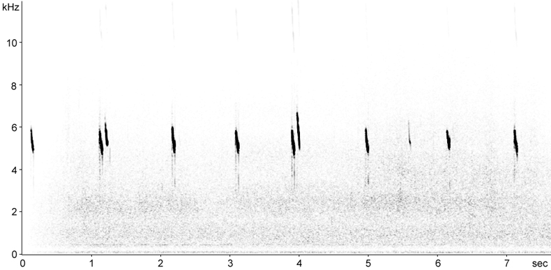 Sonogram of Red-throated Pipit alarm calls