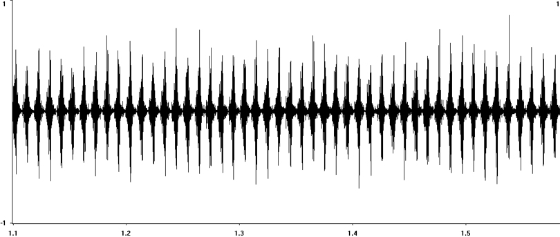 Oscillogram of Roesel's Bush-cricket stridulation [roeselsbushcricket115128ecut]
