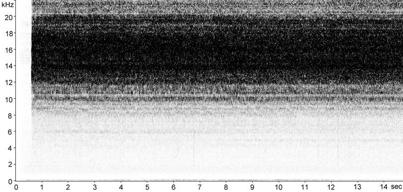 Sonogram of Roesel's Bush-cricket stridulation [roeselsbushcricket115128ecut]