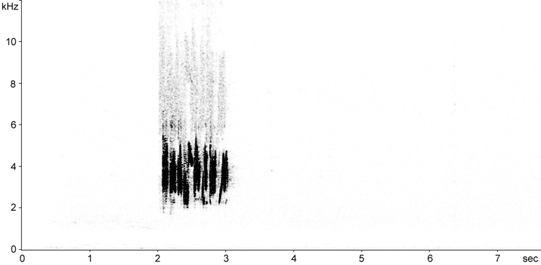 Sonogram of Rüppell’s Warbler song