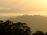 View from Serra Bonita, Bahia