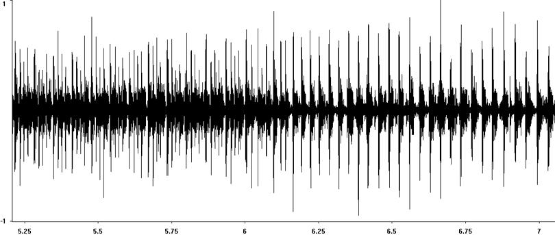 Oscillogram of Short-winged Cone-head stridulation