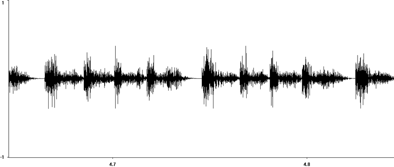 Oscillogram of Short-winged Cone-head stridulation  [shortwingedconehead117368capcut]