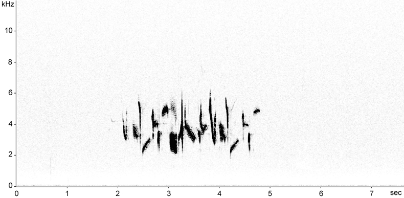 Sonogram of Snow Bunting song