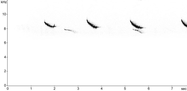 Sonogram of hawk alarm call from a Song Thrush