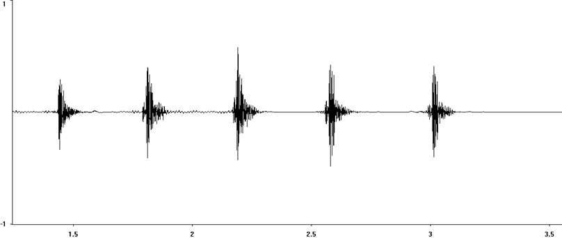 Oscillogram of Southern Oak Bush-cricket drumming (sonation)