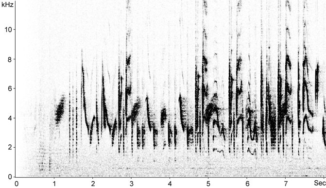 Sonogram of Western Subalpine Warbler song