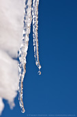 Icicle in Taos
