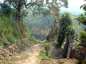 Track from El Mirador & Start of Rio Shilcayo Trail