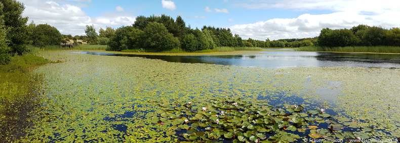 Tarryholm Pond, Ayrshire © Fraser Simpson 