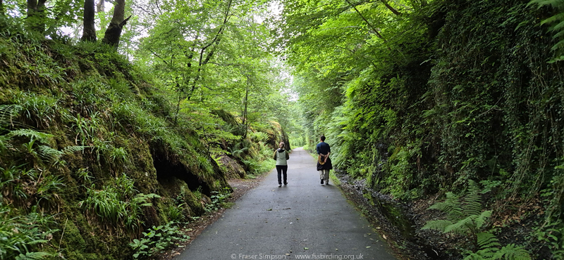 Threlkeld to Keswick Railway Path  Fraser Simpson 