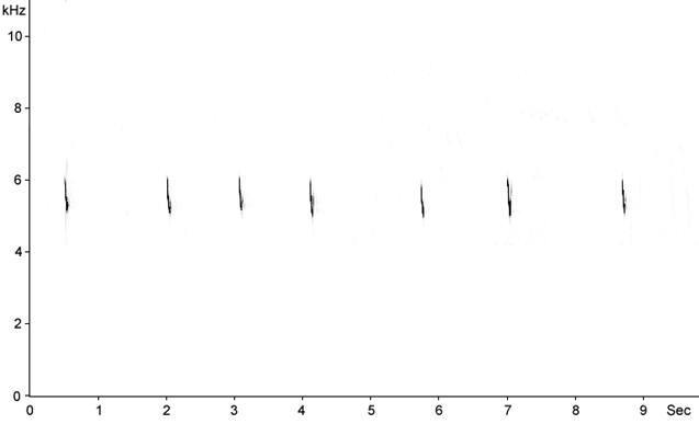 Sonogram of Tree Pipit call