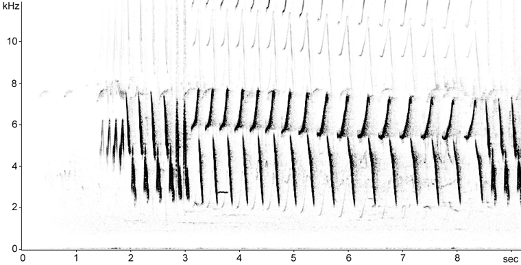 Sonogram of Tree Pipit perched song