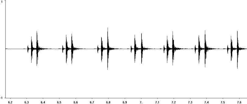 Oscillogram of Tropical House Cricket stridulation