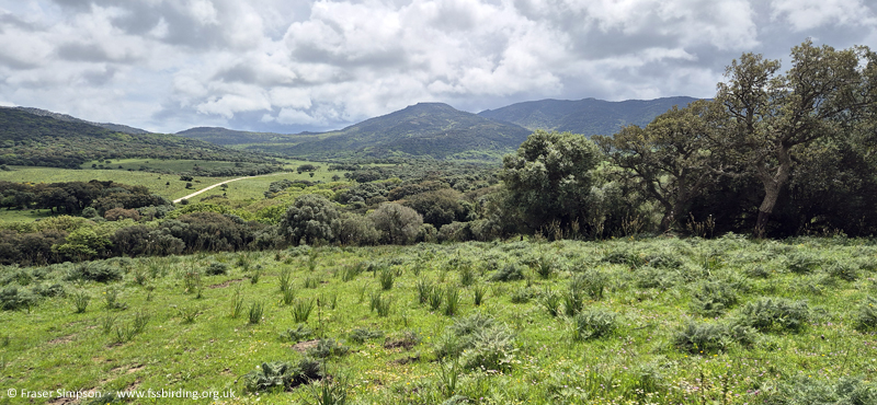 Valle de Oj�n, Andaluc�a, Spain � Fraser Simpson