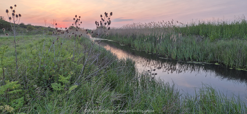 Wennington Marsh at dusk, May 2026 � Fraser Simpson
