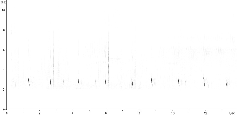 Sonogram of Whinchat call