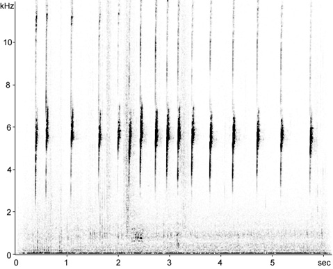 Sonogram of White-crowned Sparrow calls