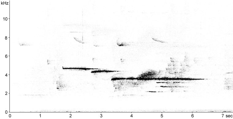 Sonogram of White-throated Sparrow song