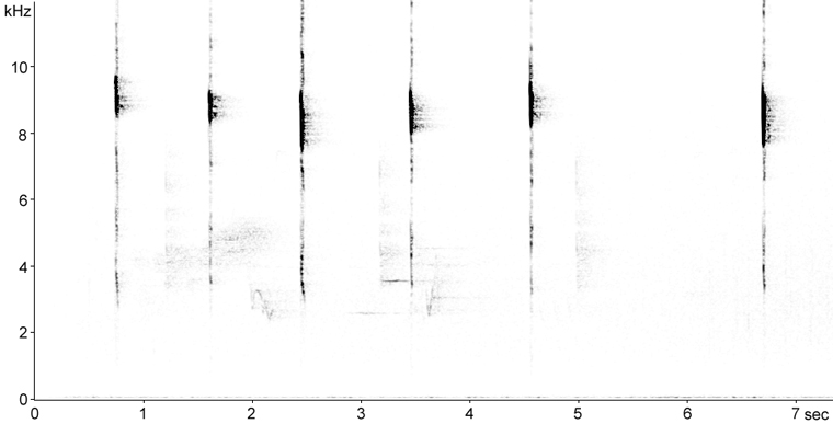 Sonogram of White-throated Sparrow call