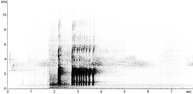 Sonogram of Willow Grouse call