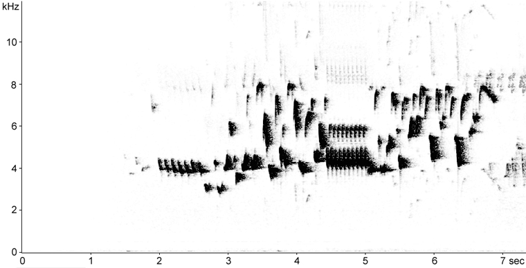 Sonogram of Scarlet Tanager song