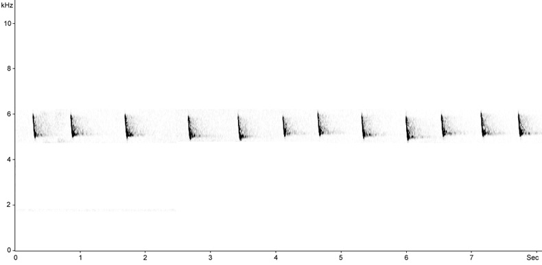 Sonogram of Woodlark call