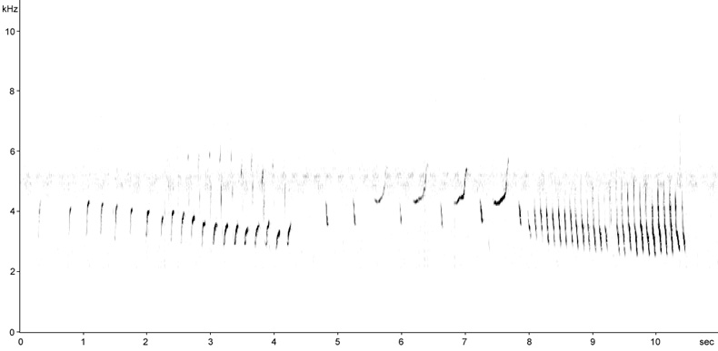 Sonogram of Woodlark song