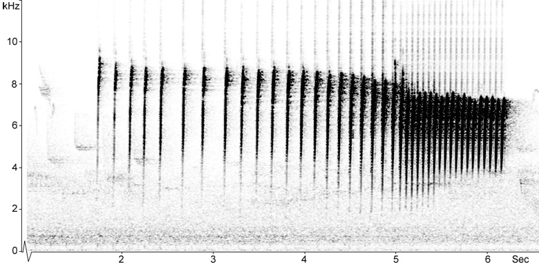 Sonogram of a Wood Warbler song