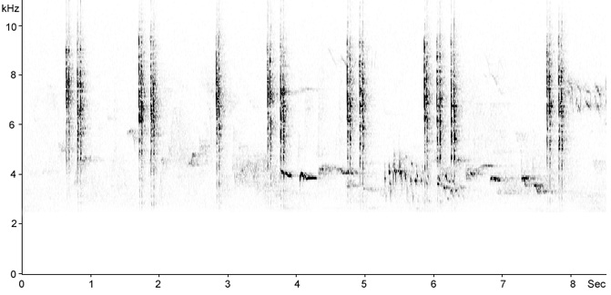 Sonogram of Eurasian Wren calls