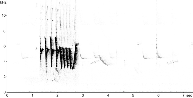 Sonogram of Yellow Warbler song